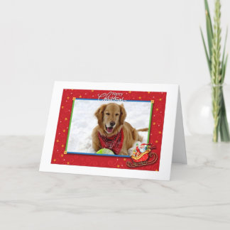 Golden Retriever Weihnachtskarte Feiertagskarte