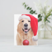 Golden Retriever Weihnachtsmannmütze Postkarte (Stehend Vorderseite)