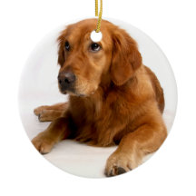 Golden Retriever Weihnachtsschmuck mit Foto