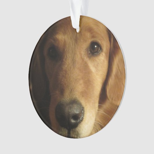 Golden Retriever Weihnachtsschmuck Ornament (Vorderseite)