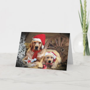 Golden Retriever Weihnachtsstil Western Feiertagskarte