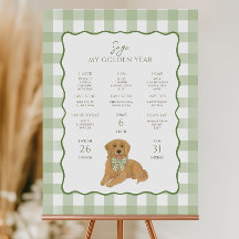 Golden Retriever Welpe 1. Geburtstags-Meilenstein