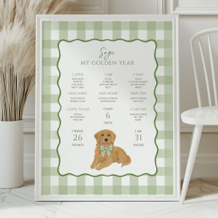 Golden Retriever Welpe 1. Geburtstags-Meilenstein  Poster
