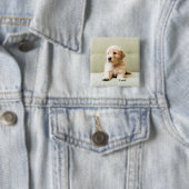 Golden Retriever Welpe auf Couch Button (Beispiel)