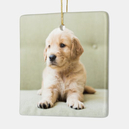 Golden Retriever Welpe auf Couch Keramikornament (Links)