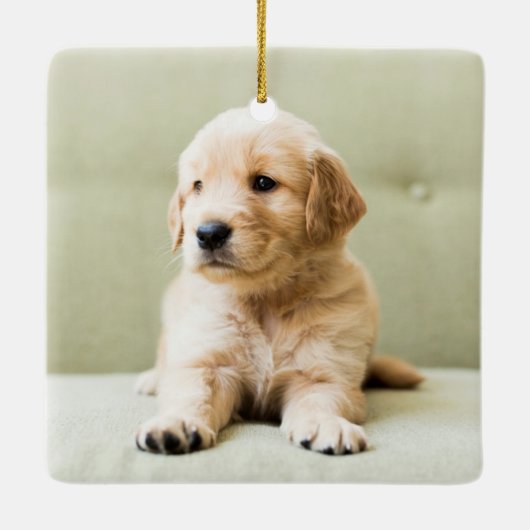 Golden Retriever Welpe auf Couch Keramikornament (Rückseite)