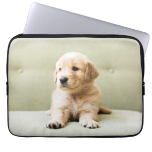Golden Retriever Welpe auf Couch Laptopschutzhülle