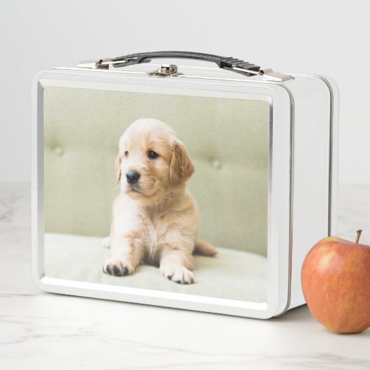 Golden Retriever Welpe auf Couch Metall Brotdose (Beispiel)