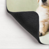 Golden Retriever Welpe auf Couch Mousepad (Ecke)