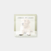 Golden Retriever Welpe auf Couch Post-it Klebezettel (Vorderseite)