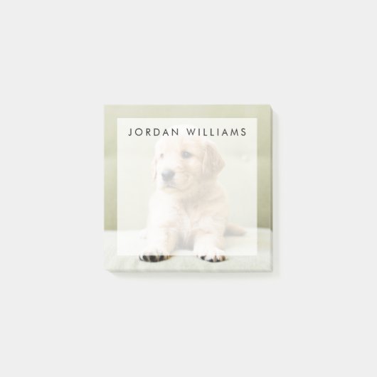 Golden Retriever Welpe auf Couch Post-it Klebezettel (Vorderseite)