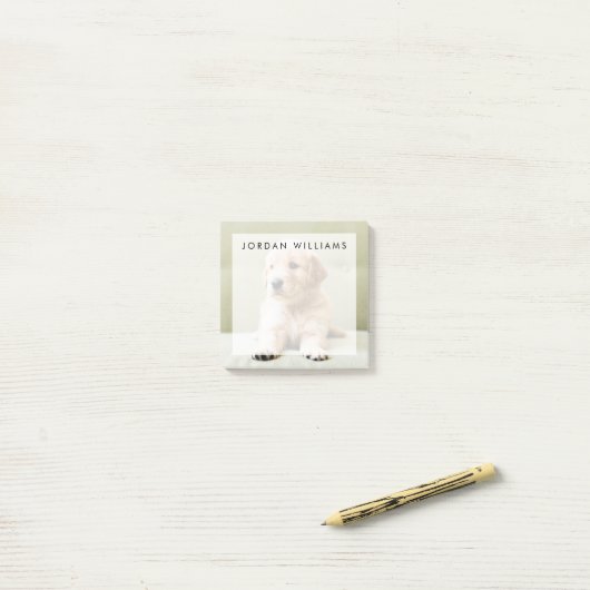 Golden Retriever Welpe auf Couch Post-it Klebezettel (Auf Schreibtisch)