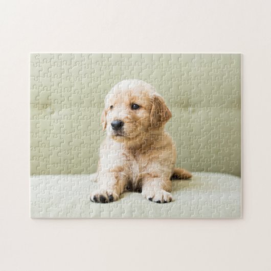 Golden Retriever Welpe auf Couch Puzzle (Horizontal)