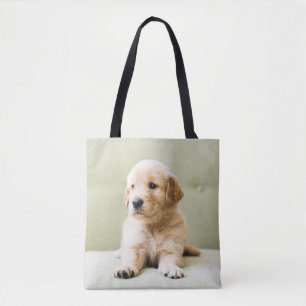 Golden Retriever Welpe auf Couch Tasche