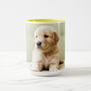 Golden Retriever Welpe auf Couch Tasse