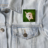 Golden Retriever Welpe auf Gras Button (Beispiel)