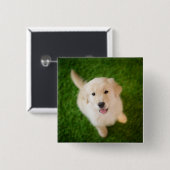 Golden Retriever Welpe auf Gras Button (Vorne & Hinten)