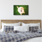 Golden Retriever Welpe auf Gras Leinwanddruck (Insitu (Schlafzimmer))