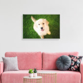 Golden Retriever Welpe auf Gras Leinwanddruck (Insitu (Wohnzimmer))