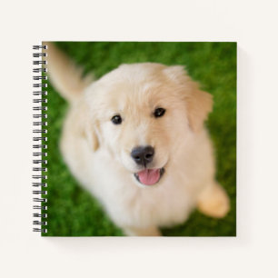 Golden Retriever Welpe auf Gras Notizblock