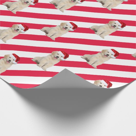Golden Retriever Welpe auf Streifen Geschenkpapier (Ecke)