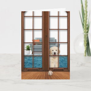 Golden Retriever Welpe bekommen gute Karte