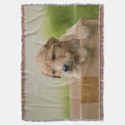 Golden Retriever Welpe Decke (Vorderseite Vertikal)