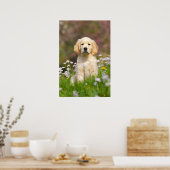 Golden Retriever Welpe ein niedlicher Goldie Poster (Küche)
