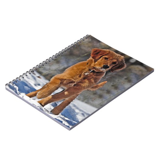 Golden Retriever Welpe Hund im Schnee Notizblock (Linke Seite)