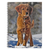 Golden Retriever Welpe Hund im Schnee Notizblock (Vorderseite)
