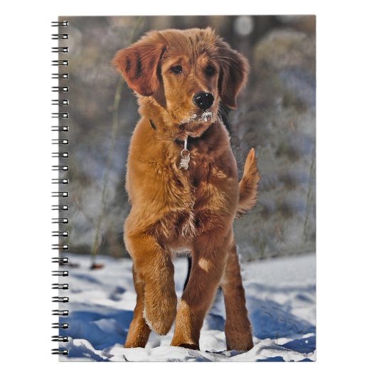Golden Retriever Welpe Hund im Schnee Notizblock (Vorderseite)