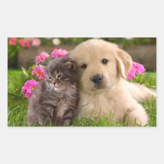Golden Retriever Welpe Hund & Kitten Sticker (Vorderseite)