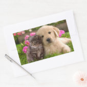 Golden Retriever Welpe Hund & Kitten Sticker (Umschlag)
