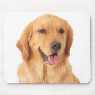 Golden Retriever Welpe Hund Liebe Mousepad