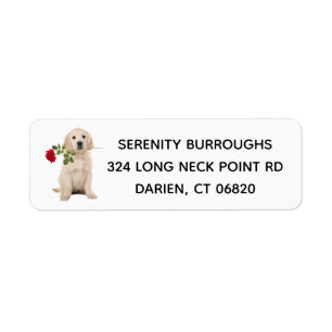 Golden Retriever Welpe Hund Liebe - Welpen