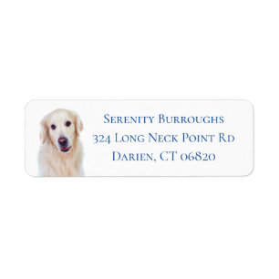 Golden Retriever Welpe Hund Liebe - Welpen