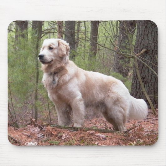 Golden Retriever Welpe Hund Mousepad (Vorne)