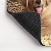 Golden Retriever Welpe Hund Rustikaler Stall Mousepad (Ecke)