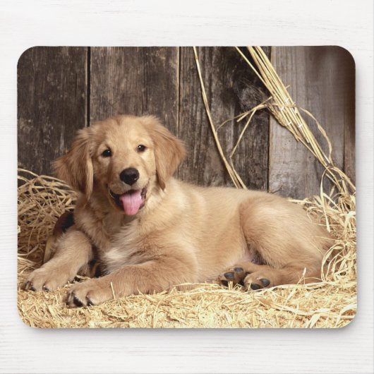 Golden Retriever Welpe Hund Rustikaler Stall Mousepad (Vorne)