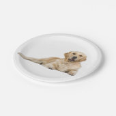Golden Retriever Welpe Hunde Hochzeit Party Pappteller (Schrägansicht)