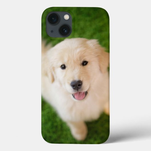 Golden Retriever Welpe im Gras Case-Mate iPhone Hülle (Rückseite)