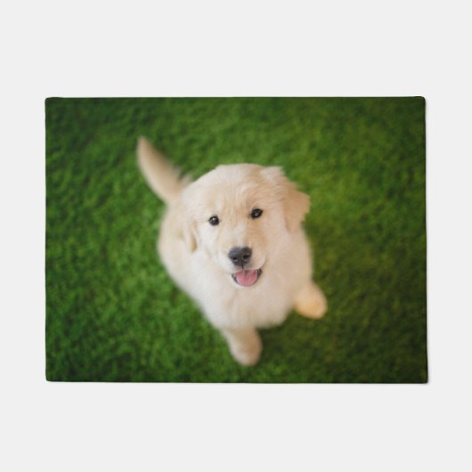 Golden Retriever Welpe im Gras Fußmatte (Vorderseite)