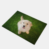 Golden Retriever Welpe im Gras Fußmatte (Schrägansicht)