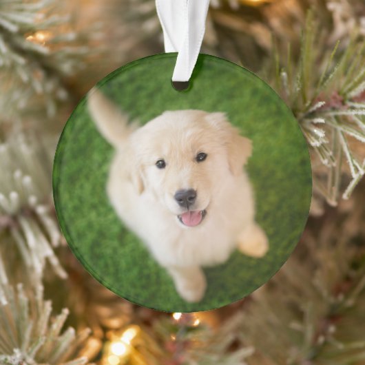 Golden Retriever Welpe im Gras Ornament (Baum)
