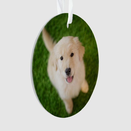 Golden Retriever Welpe im Gras Ornament (Vorderseite)
