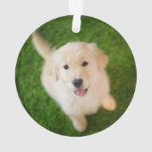Golden Retriever Welpe im Gras Ornament (Rückseite)