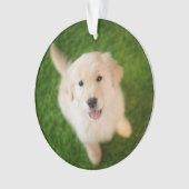 Golden Retriever Welpe im Gras Ornament (Vorderseite)