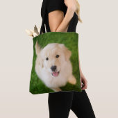 Golden Retriever Welpe im Gras Tasche (Von Nahem)