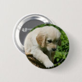 Golden retriever-Welpe im Korb Button (Vorne & Hinten)