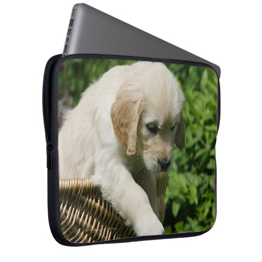 Golden retriever-Welpe im Korb Laptopschutzhülle (Vorne Rechts)